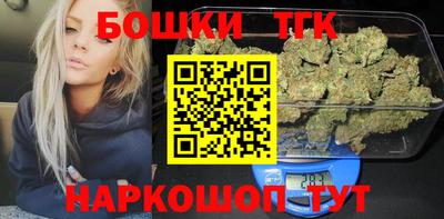 гидра Брянск