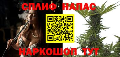 гидра Брянск