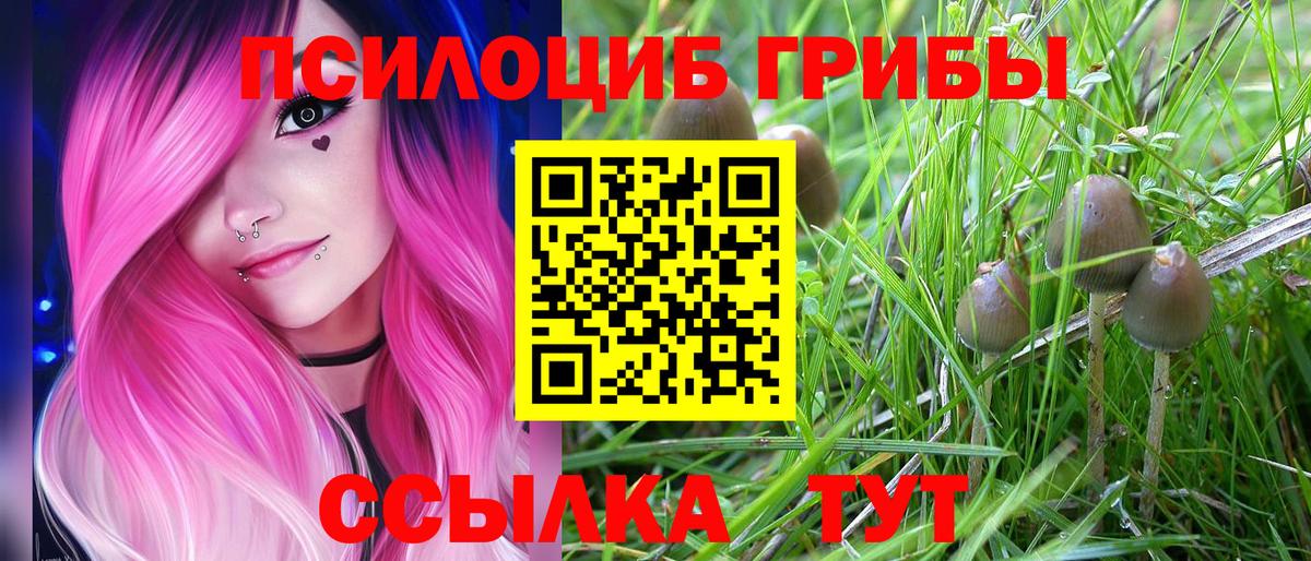 Галлюциногенные грибы Cubensis  Вход с VPN  Алушта  Галлюциногенные грибы Psilocybe 
